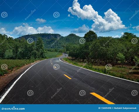 curve road stock photo image  forest natural beauty