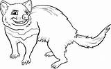 Tasmanian Devil Coloring Cartoon Marsupial Vector Premium Help Search Mascot Need Fotolia 19kb 1300 sketch template