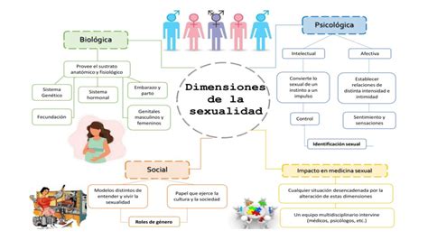 mapa mental de la sexualidad mapasytemas10 udocz