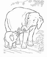 Coloring Elephant Pages Animals Baby Wild Kids African Animal Printable Mom Mother Print Drawing Sheets Colouring Elephants Zoo Activity Clip sketch template