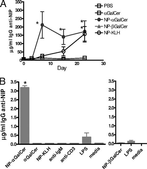 Nk T Cells Provide Lipid Antigen Specific Cognate Help For B Cells Pnas
