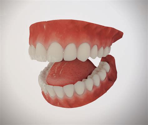 Realistic Mouth For Character 3d Asset Cgtrader
