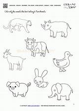 Animals Farm Worksheets Activity Kindergarten Coloring Domestic Sheets Worksheet Sheet Pages Printable English Language Beginner Popular sketch template