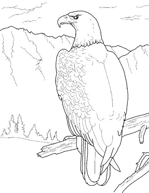 printable eagle coloring pages listen  printable