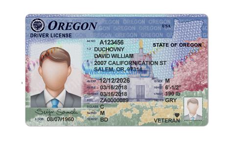 state id card template stateidcardtemplate oregon driver license