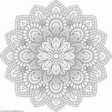 Mandalas Mandala Coloring Pages Flower Printable Adult Colouring Sheets Drawing Books Getcoloringpages Para Geometric Color Painting Flowers Imprimir Guardado Desde sketch template