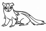 Linoone Coloring Pages Pokemon Template sketch template