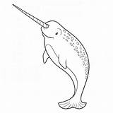 Narwhal Ocean Narwhals Whales Everfreecoloring Preschool sketch template