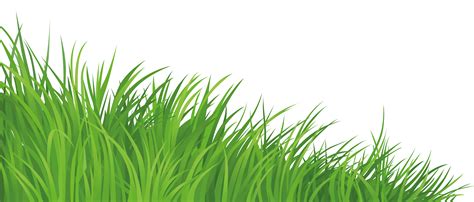 Lawn Clip Art Silhouette Grass Png Download 7298 3112 Free