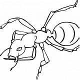 Ant Coloring Worker Helmet Wearing Awesome sketch template