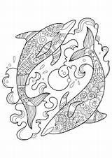Dolphin Coloring Pages Dolphins Adult Adults Ocean Two Mandala Printable Zentangle Animal Justcolor Colouring Sheets Spinning Lovely Patterns Pretty Water sketch template