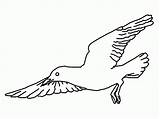 Coloring Seagull Popular sketch template