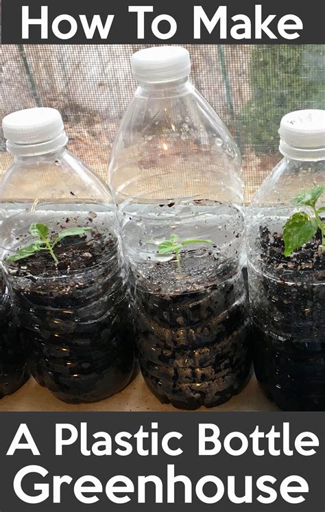 Start Your Seeds With This Awesome Plastic Bottle Greenhouse Plastic