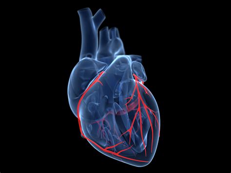 google aims   million moonshot  curing heart disease wired