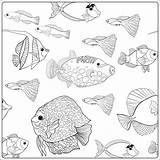 Aquarium Drawing Kids Fish Getdrawings sketch template