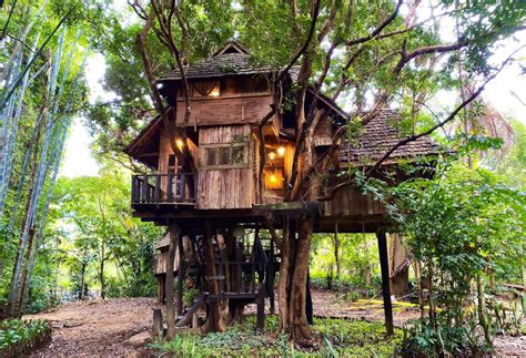 treehouse villas  chiang mai   nature retreat spots