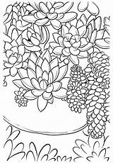 Coloring Succulent Succulents Pages Mandalas Para Colorear Suculentas Dibujos Plantas Color Faciles Print Adult Painting Drawing Cactus Choose Board Again sketch template