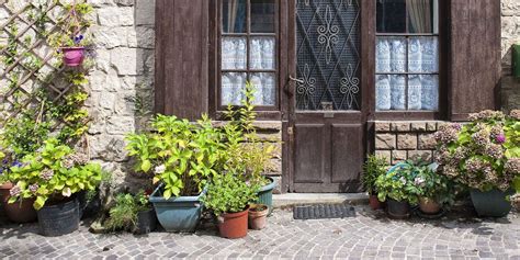 front door plants you can t kill potted plants that are