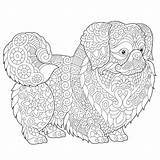 Pages Pechinese Zentangle 30seconds Pekinese Hund Tip sketch template