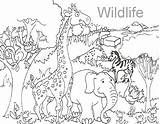 Coloring African Wild Dog Getcolorings Helpful sketch template