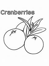 Cranberries Cranberry Nutrients Grapefruit sketch template