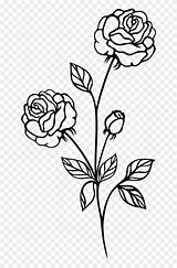 Rose Clip Plant Flowers Roses Clipart Transparent sketch template