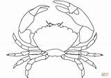 Crab Coloring Pages Drawing Outline Printable Blue Template Crabs Public Domain sketch template