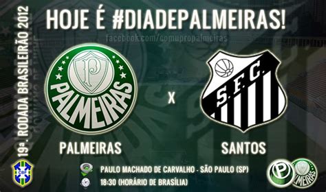 Flavio Canuto Blog Do Torcedor Do Palmeiras