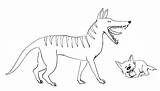 Thylacine Coloring Pages Animals Animal Color Print Back sketch template