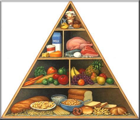 food pyramid guide  balance healthy diet