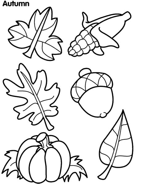 leaf outlines printable coloring home