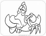 Sebastian Scuttle Disneyclips Flounder Funstuff Coloring2 Px Vicoms sketch template