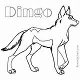 Dingo sketch template