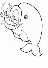 Coloring Jonah Whale Pages Clipart Library Prophet sketch template