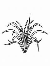 Grass sketch template