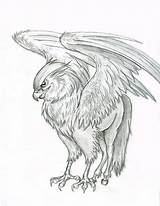 Hippogriff Coloring Harry Potter Pages Deviantart Hippogryph Gryphon Buckbeak Griffin Drawings Tattoo Drawing Ausmalen Creatures Greif Pony Animal Little Join sketch template