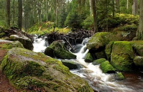4 Great National Parks In Czech Republic For Nature Lovers