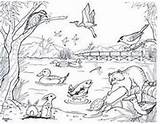 Coloring Pages Adult Patterns Park Search Grand sketch template