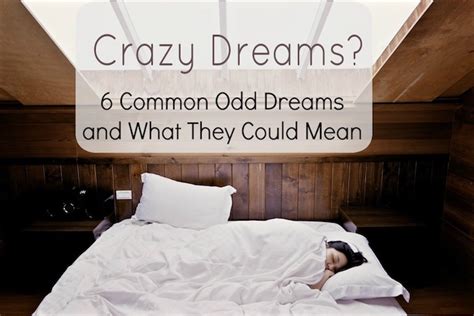 crazy dreams 6 common odd dreams and what they could mean how does she
