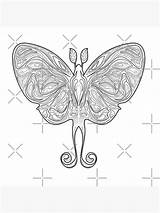 Lovecraftian Conscript Moth sketch template