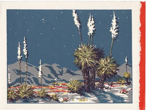 desert christmas lovely composition  drama   flickr
