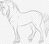 Stable Drawing Star Horse Line Foal Getdrawings sketch template