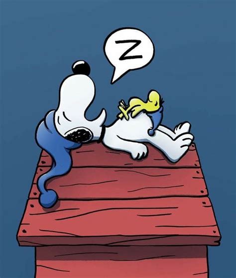 Pin By Jacquie Byron On Snoopy And The Gang 5 ️ Snoopy Sleeping