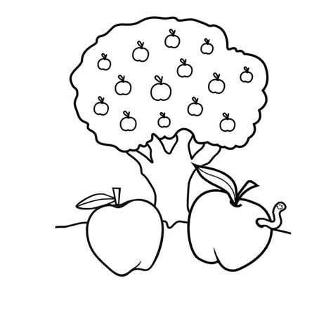 apple tree  apples coloring page  print  color