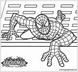 Pages Ultimate Spiderman Coloring Spider Man Color Online sketch template
