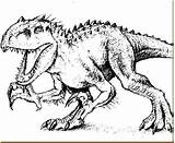 Indominus Jurassic Rex Dinosaurios Dinosaurio sketch template