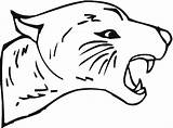 Cougar Coloring Pages Puma Color Animal Animals Print Getcolorings Comments Leaping sketch template