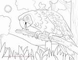 Macaw Coloring Scarlet Hyacinth Color Pages Kids Result Facts Getcolorings Printable Getdrawings Print sketch template
