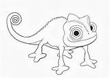 Pascal Chameleon sketch template