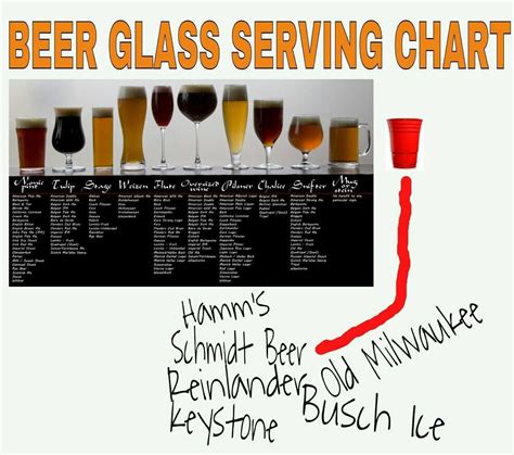 Beer Glass Serving Chart Trusper